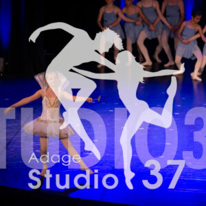 Studio37_Spectacle2024_Jpeg-S_1052
