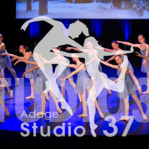 Studio37_Spectacle2024_Jpeg-S_1075