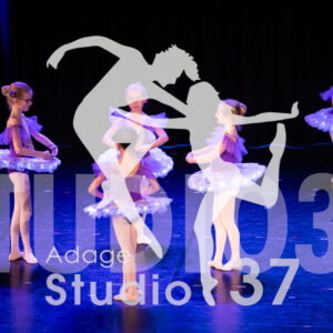 Studio37_Spectacle2024_Jpeg-S_108