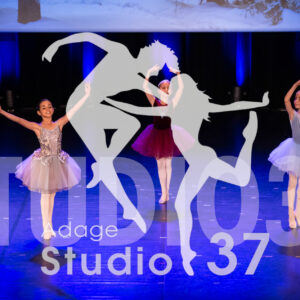 Studio37_Spectacle2024_Jpeg-S_1102