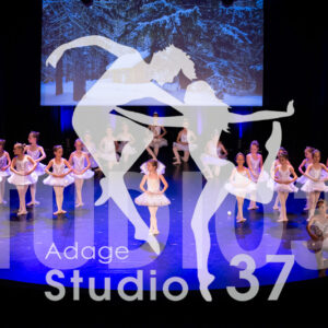 Studio37_Spectacle2024_Jpeg-S_1123