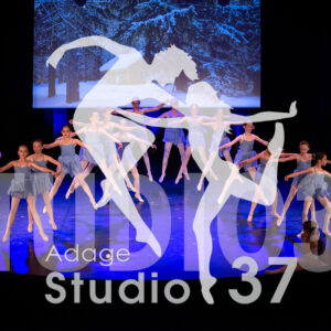 Studio37_Spectacle2024_Jpeg-S_1140