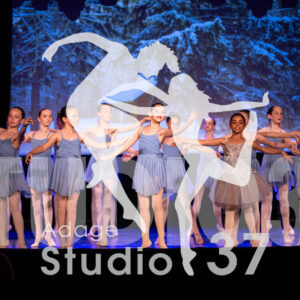 Studio37_Spectacle2024_Jpeg-S_1153