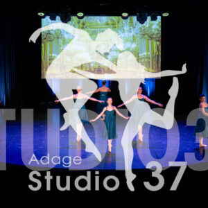Studio37_Spectacle2024_Jpeg-S_1354