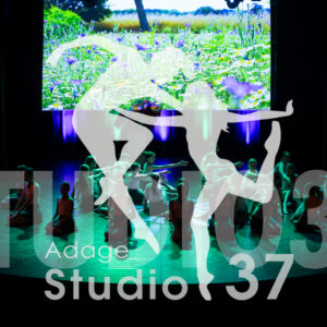Studio37_Spectacle2024_Jpeg-S_1475