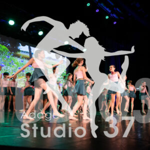 Studio37_Spectacle2024_Jpeg-S_1507