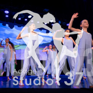 Studio37_Spectacle2024_Jpeg-S_1615