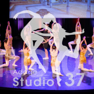 Studio37_Spectacle2024_Jpeg-S_1633