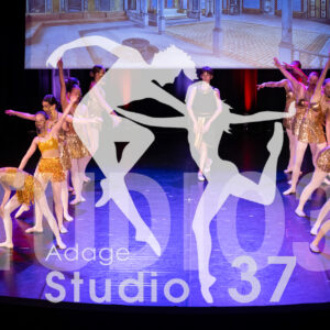 Studio37_Spectacle2024_Jpeg-S_1655