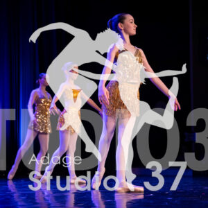 Studio37_Spectacle2024_Jpeg-S_1664