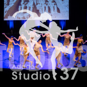 Studio37_Spectacle2024_Jpeg-S_1715