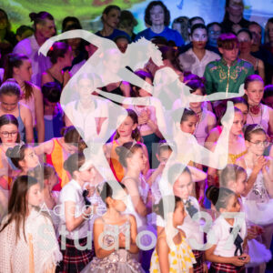 Studio37_Spectacle2024_Jpeg-S_2016