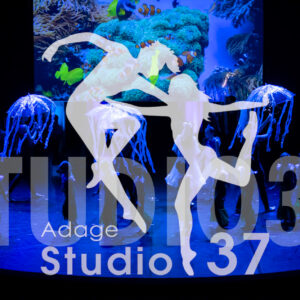 Studio37_Spectacle2024_Jpeg-S_320