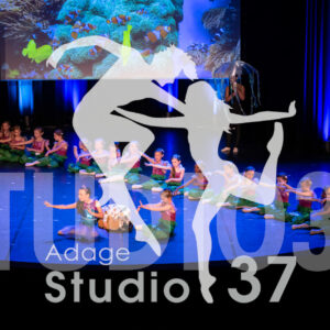 Studio37_Spectacle2024_Jpeg-S_341