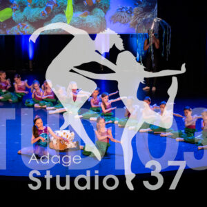 Studio37_Spectacle2024_Jpeg-S_343