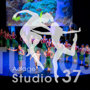 Studio37_Spectacle2024_Jpeg-S_345