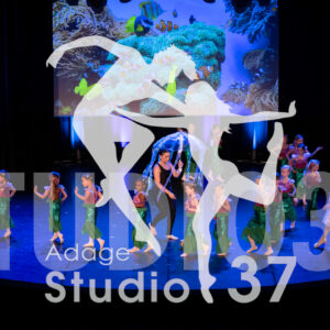 Studio37_Spectacle2024_Jpeg-S_352