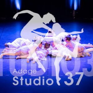 Studio37_Spectacle2024_Jpeg-S_375