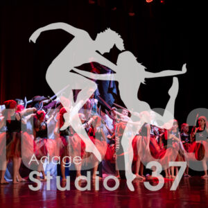 Studio37_Spectacle2024_Jpeg-S_462