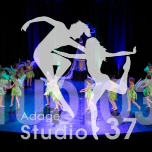 Studio37_Spectacle2024_Jpeg-S_490