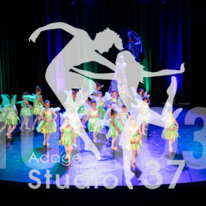 Studio37_Spectacle2024_Jpeg-S_496
