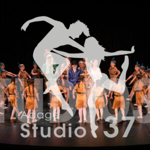 Studio37_Spectacle2024_Jpeg-S_520