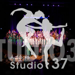 Studio37_Spectacle2024_Jpeg-S_655