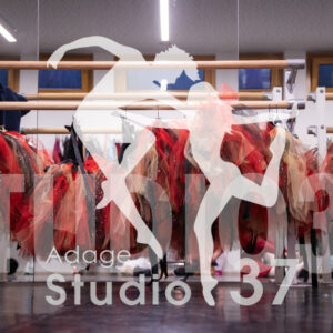 Studio37_Spectacle2024_Jpeg-S_690