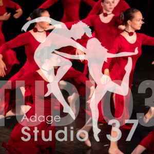 Studio37_Spectacle2024_Jpeg-S_860