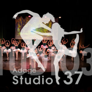Studio37_Spectacle2024_Jpeg-S_961