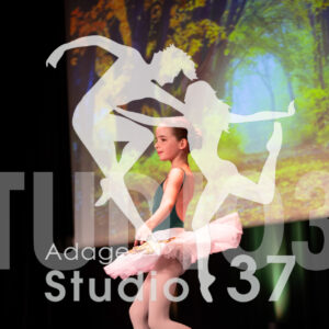Studio37_Spectacle2024_Jpeg-S_962