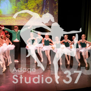 Studio37_Spectacle2024_Jpeg-S_970