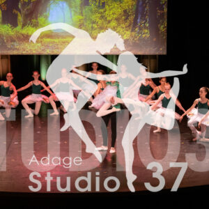 Studio37_Spectacle2024_Jpeg-S_982