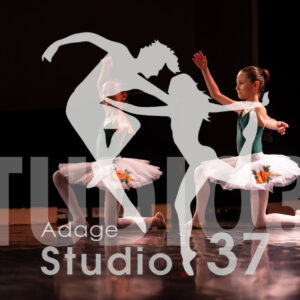 Studio37_Spectacle2024_Jpeg-S_984