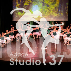 Studio37_Spectacle2024_Jpeg-S_985