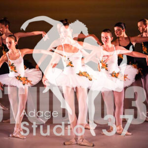 Studio37_2022_Jpeg BD - 0782