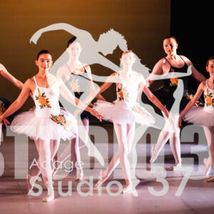 Studio37_2022_Jpeg BD - 0785