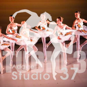 Studio37_2022_Jpeg BD - 0800