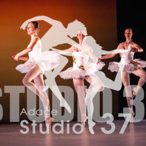 Studio37_2022_Jpeg BD - 0803