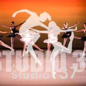 Studio37_2022_Jpeg BD - 0808