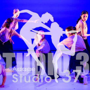 Studio37_2022_Jpeg BD - 1008