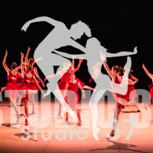 Studio37_2022_Jpeg BD - 1094