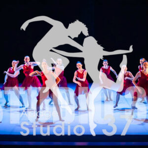 Studio37_2022_Jpeg BD - 1130