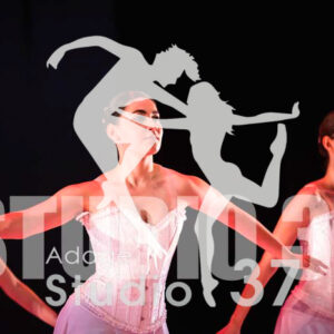 Studio37_2022_Jpeg BD - 1377
