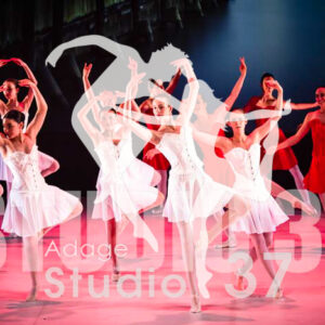 Studio37_2022_Jpeg BD - 1390