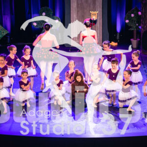 Studio37_Spectacle2023_JpegS_248