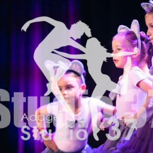 Studio37_Spectacle2023_JpegS_463