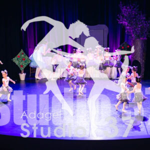 Studio37_Spectacle2023_JpegS_469