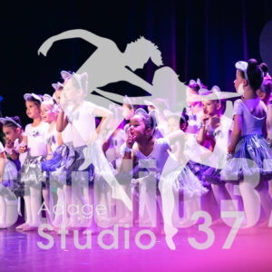 Studio37_Spectacle2023_JpegS_474