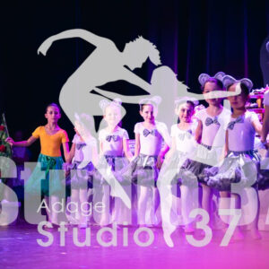 Studio37_Spectacle2023_JpegS_477